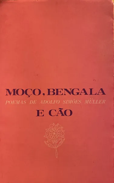 Moço, Bengala e Cão