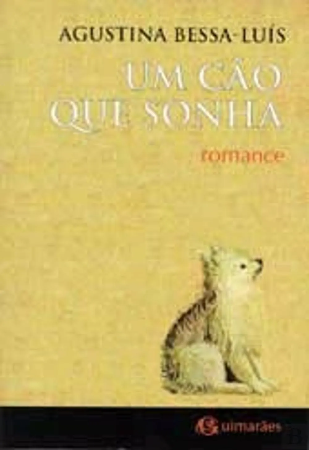 Um Cão Que Sonha