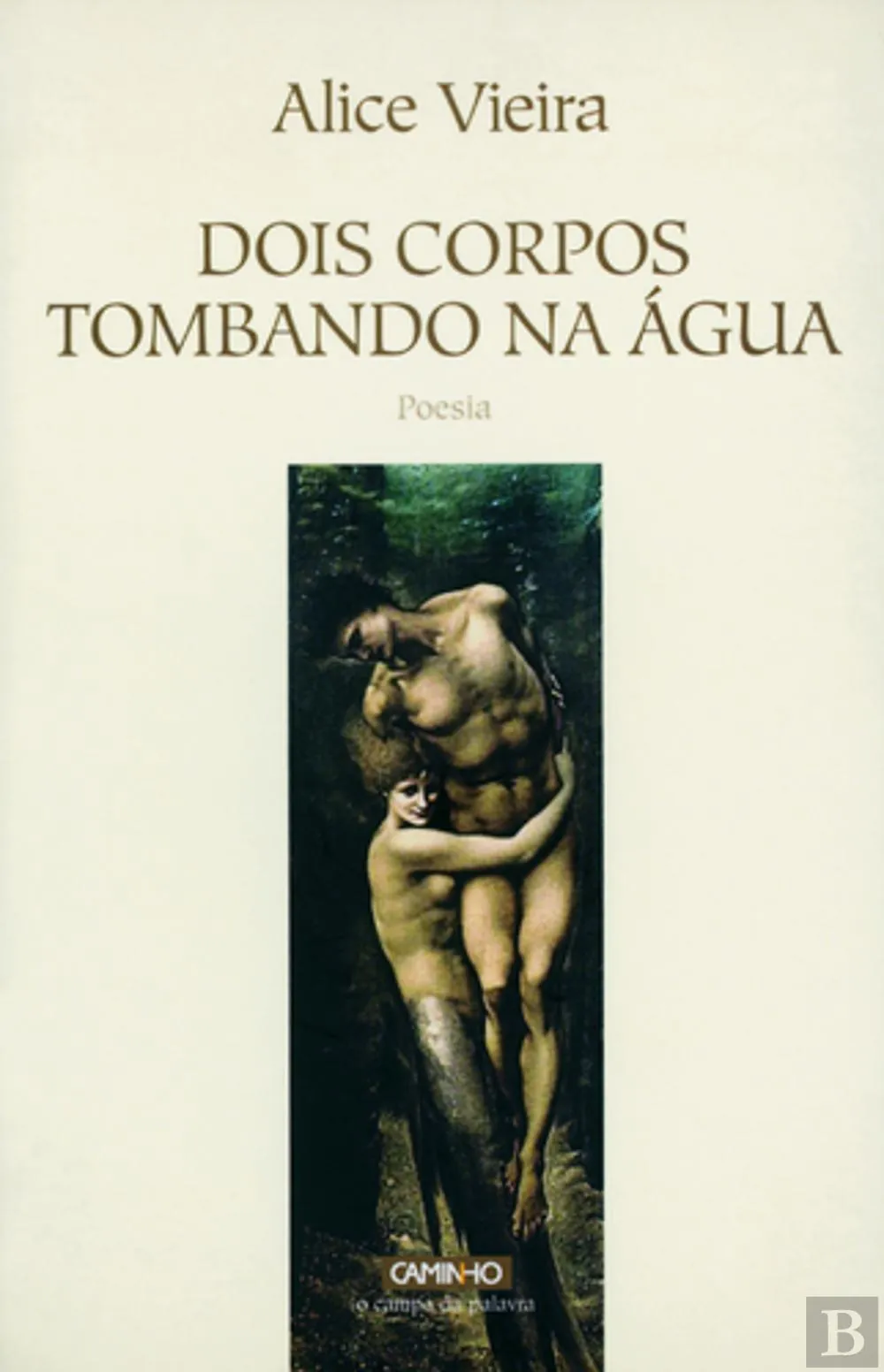 Dois corpos tombando na água
