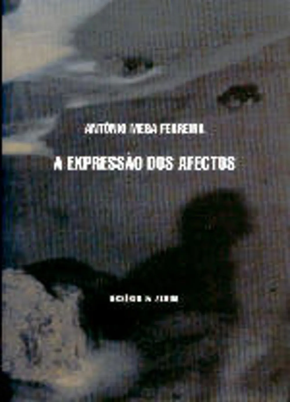 A expressão dos afectos