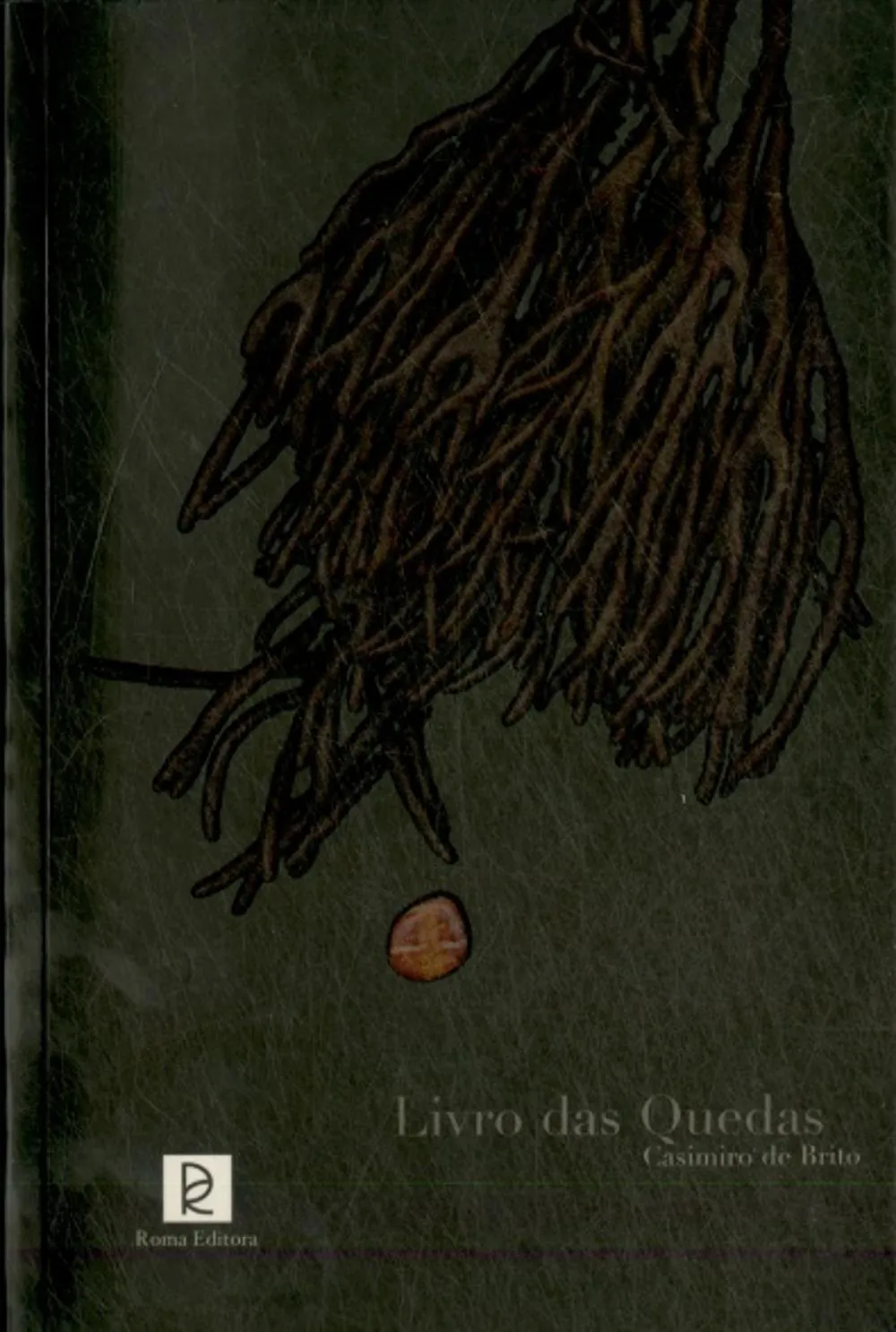 Livro das Quedas