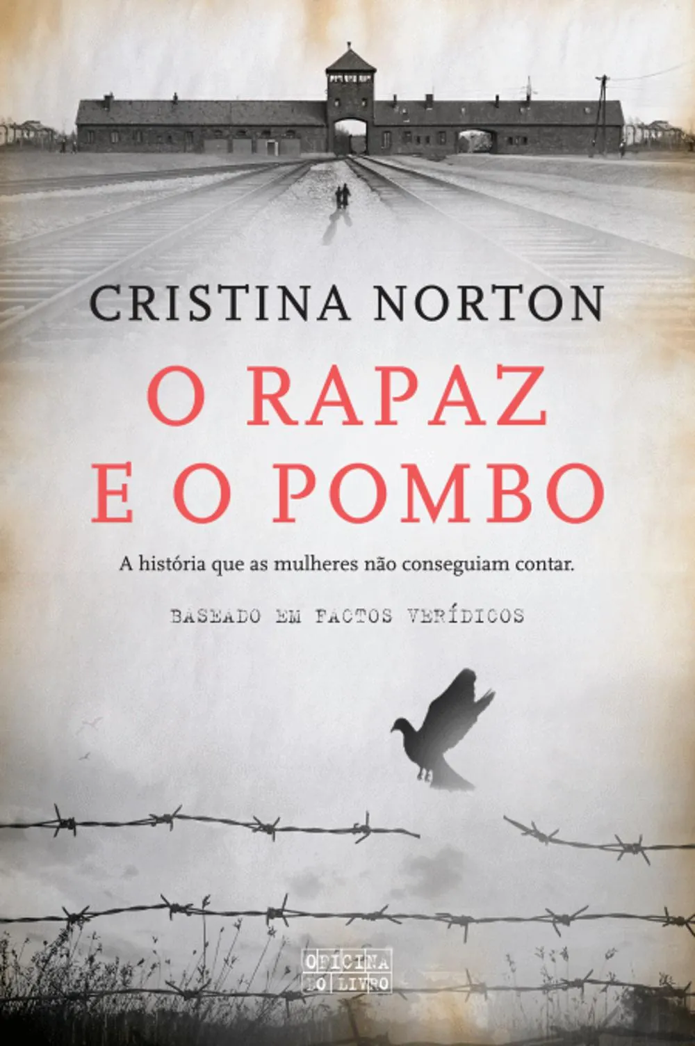O rapaz e o pombo