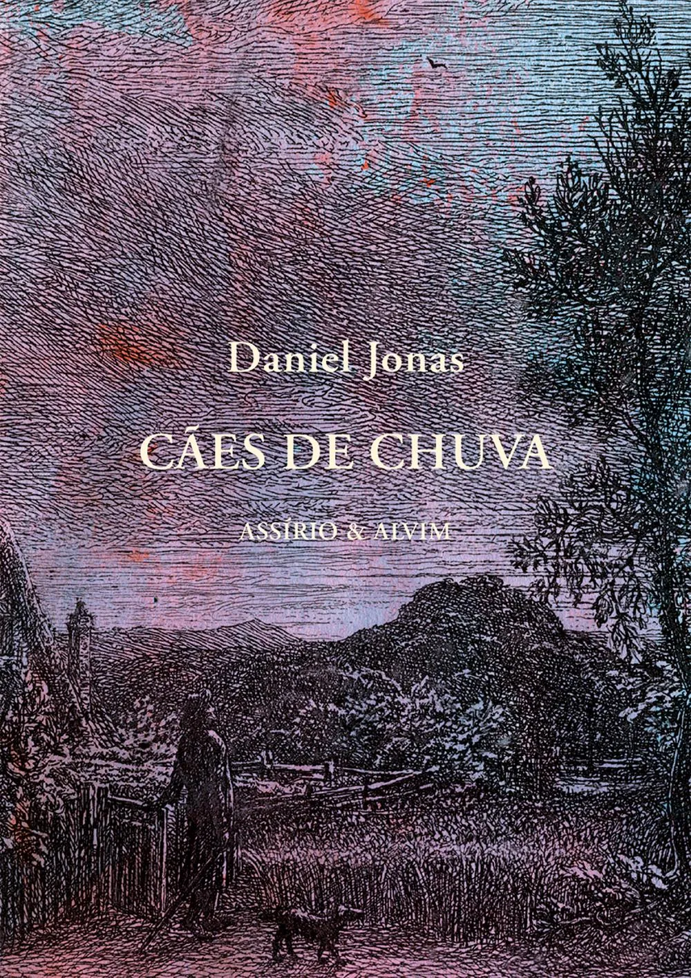 Cães de chuva