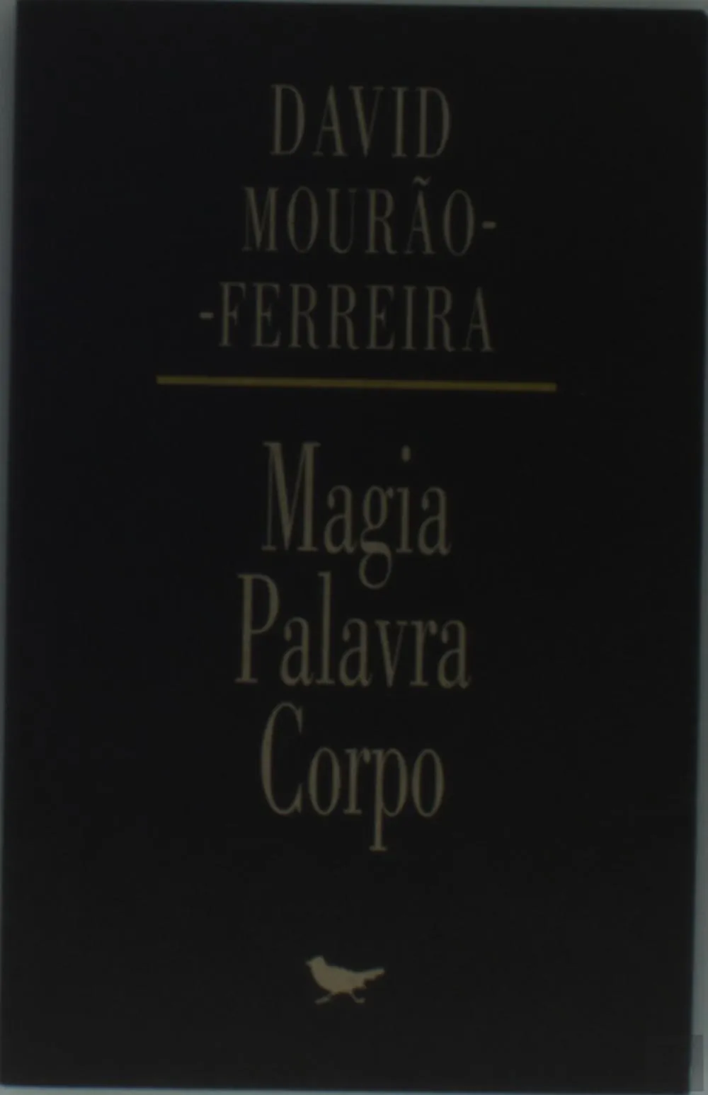Magia, palavra, corpo: perspectivas da cultura de língua portuguesa