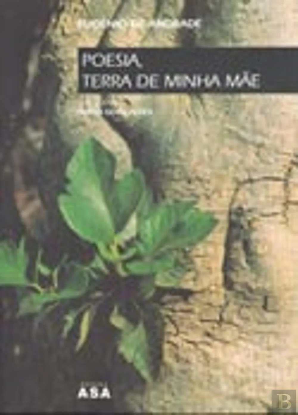 Poesia, Terra de Minha Mãe