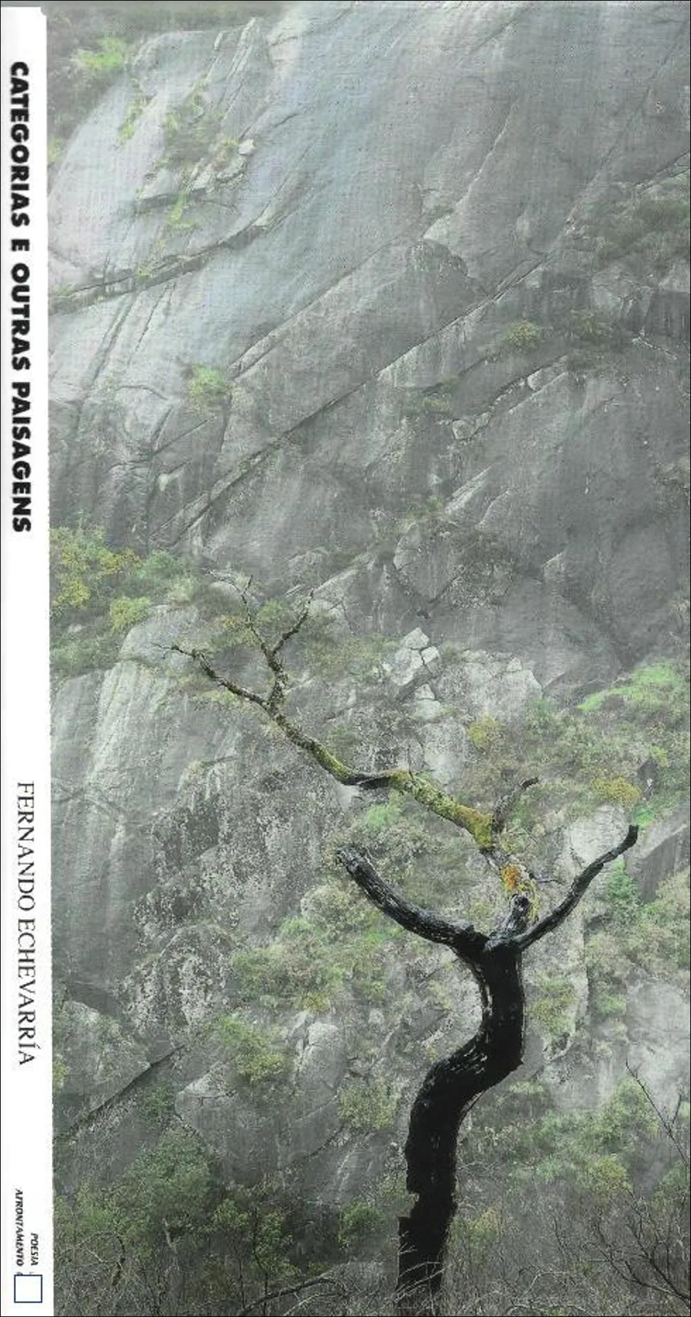 Categorias e Outras paisagens