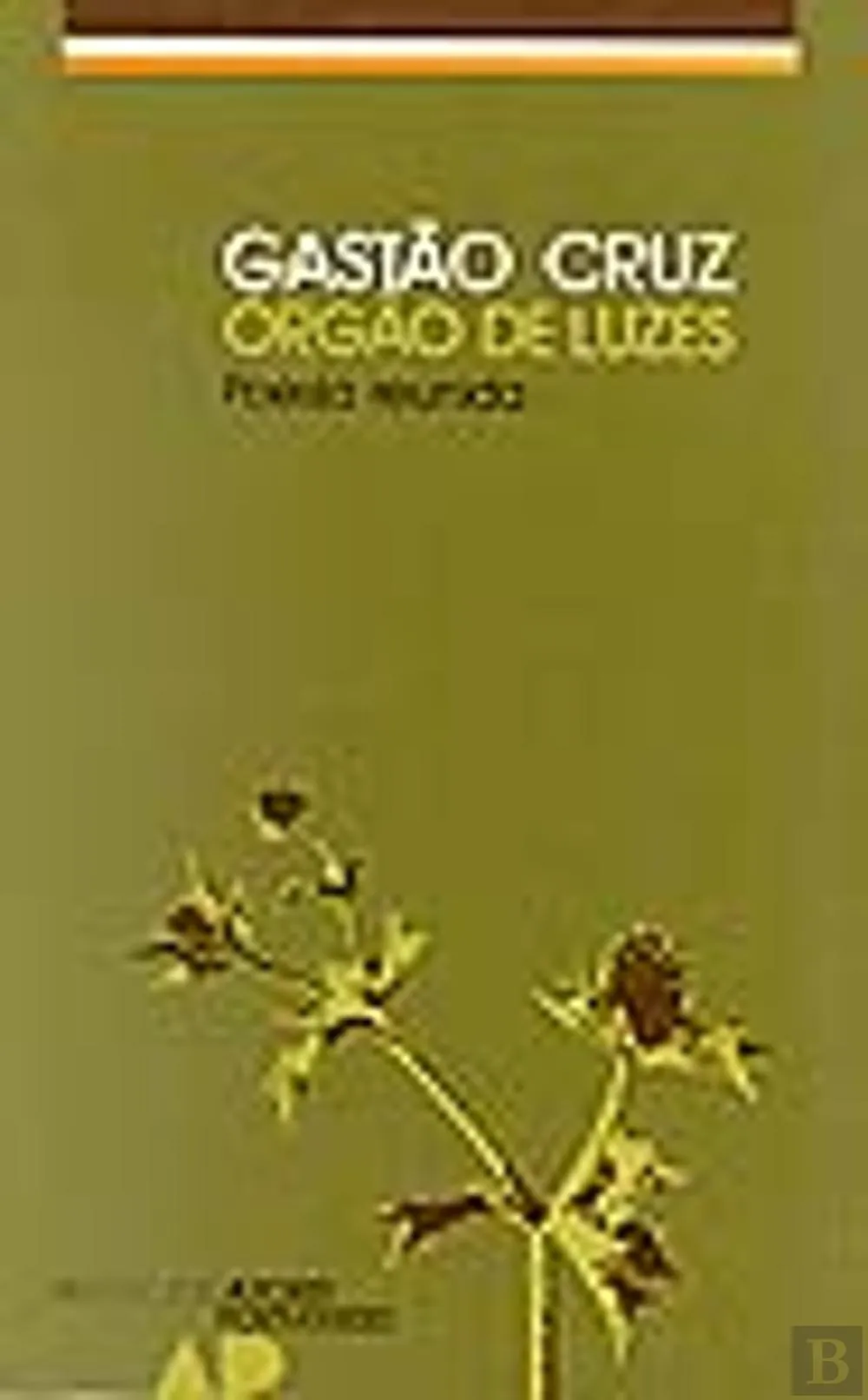 Órgão de Luzes