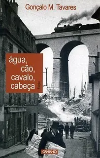 Água, cão, cavalo, cabeça