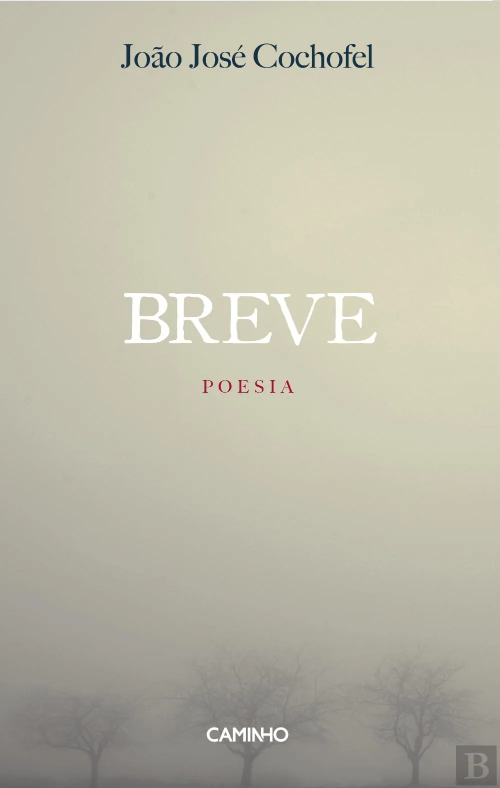 Breve