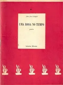 Uma rosa no tempo