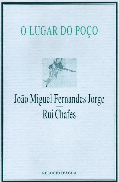 O lugar do poço