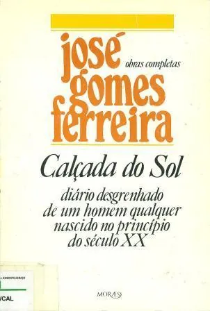 Calçada do Sol : diário desgrenhado de um homem qualquer nascido no princípio do século XX