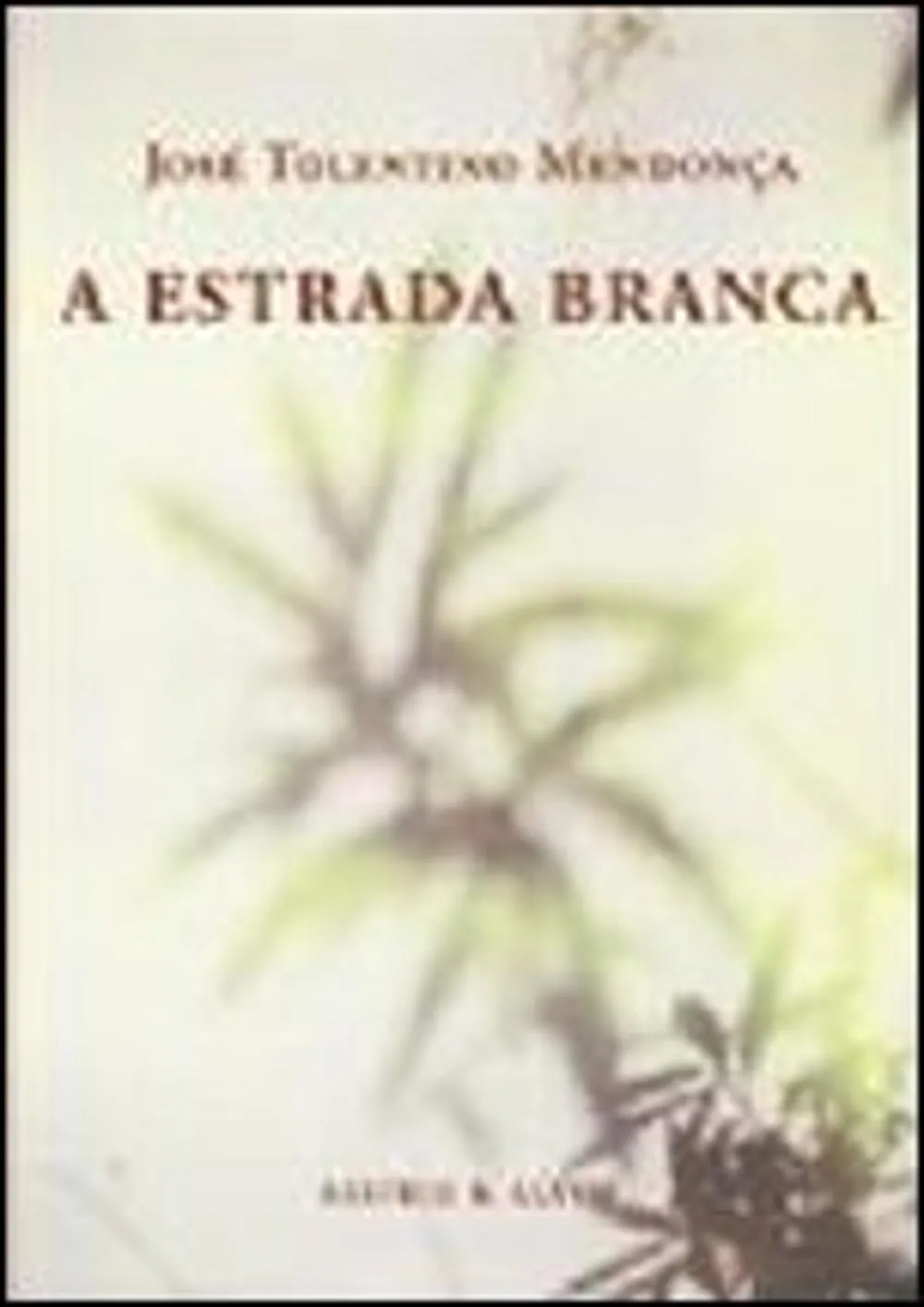 A estrada branca