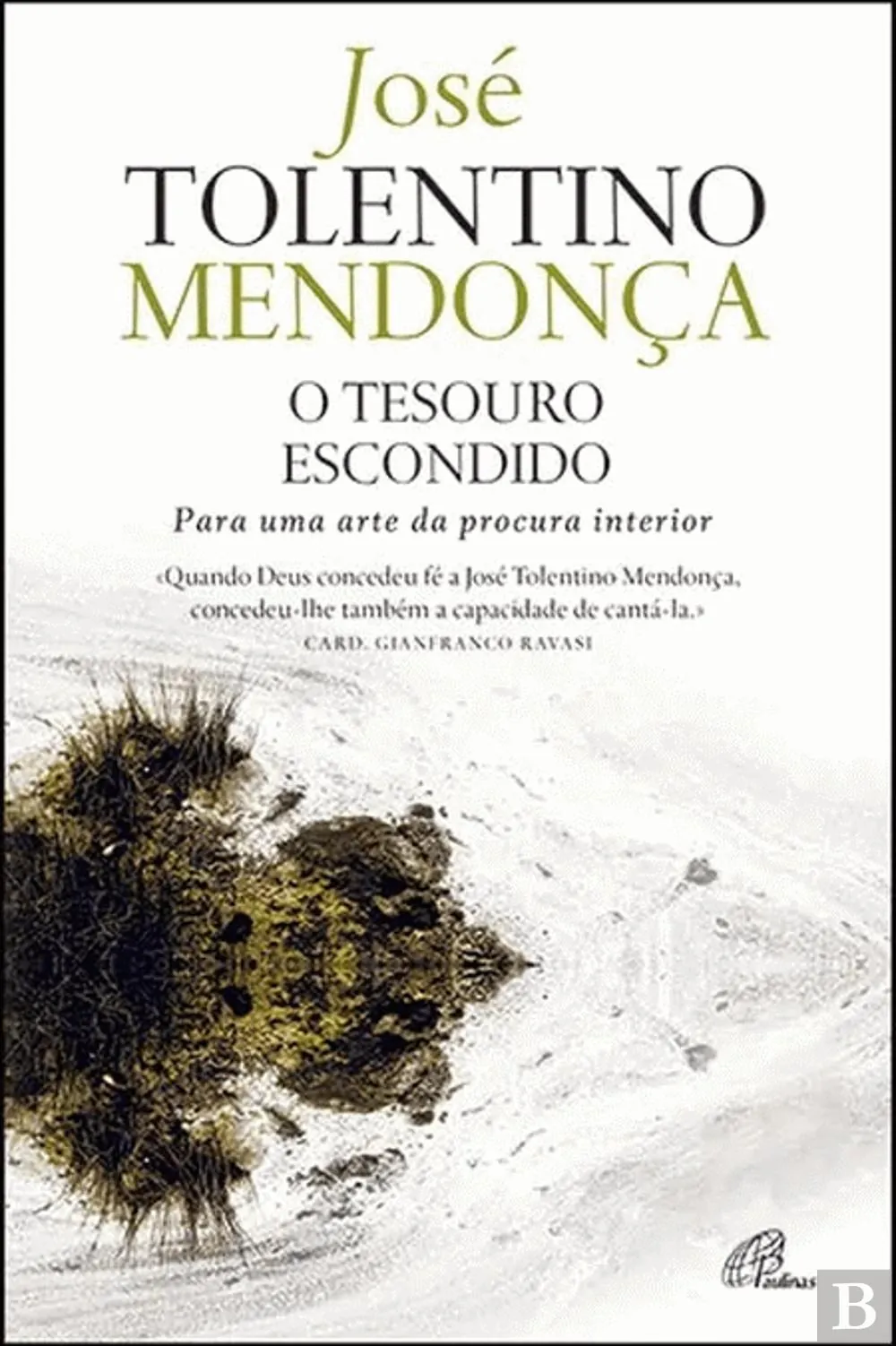 O tesouro escondido : para uma arte da procura interior