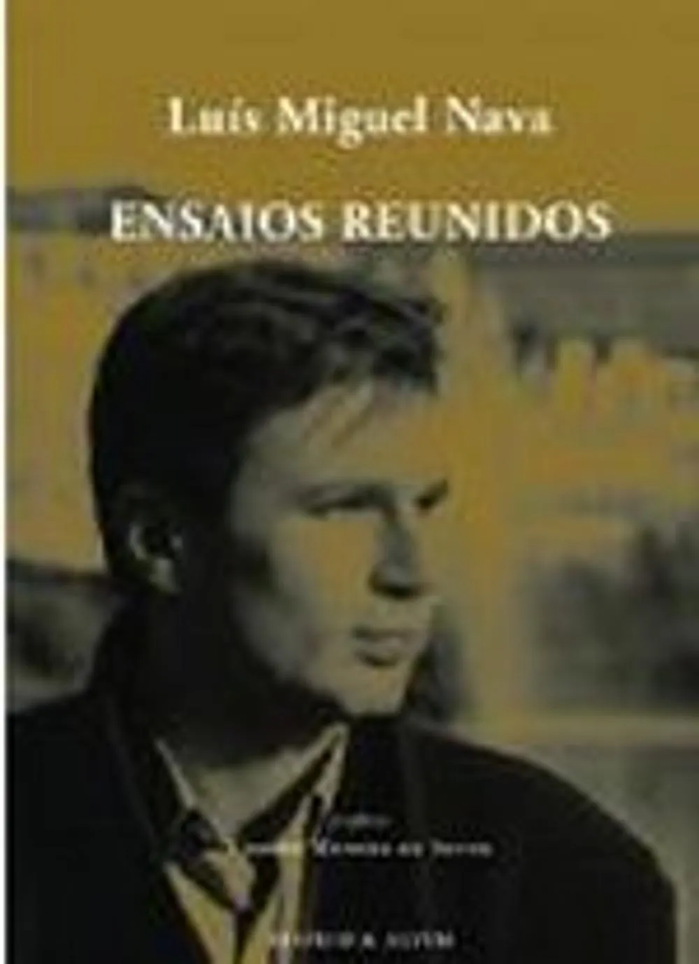 Ensaios reunidos