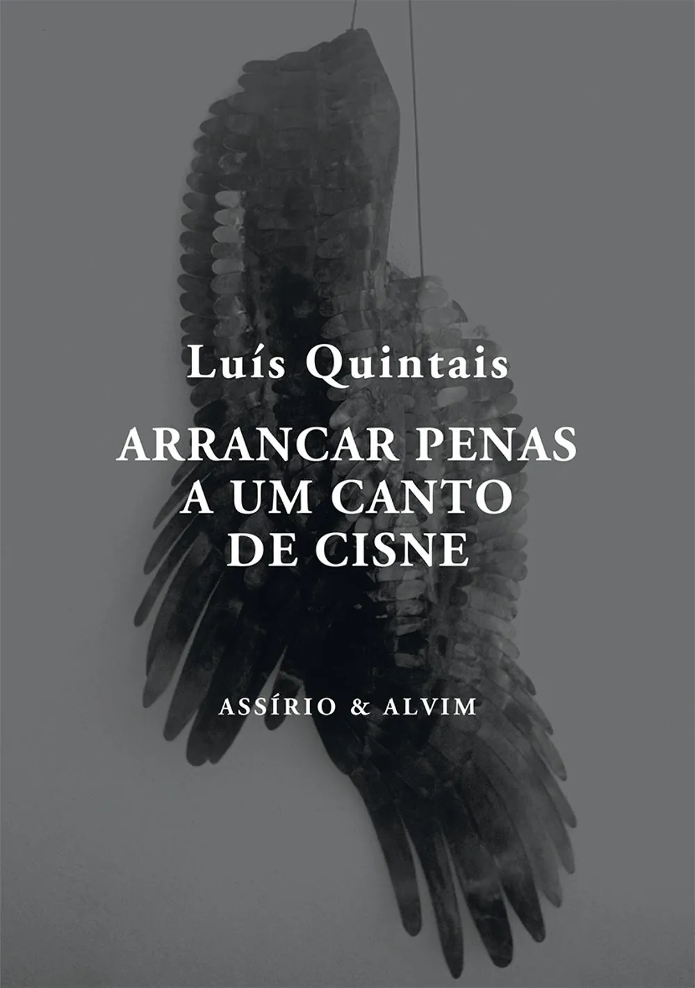 Arrancar penas a um canto do cisne