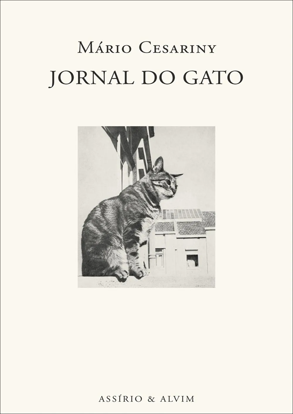 Jornal do gato