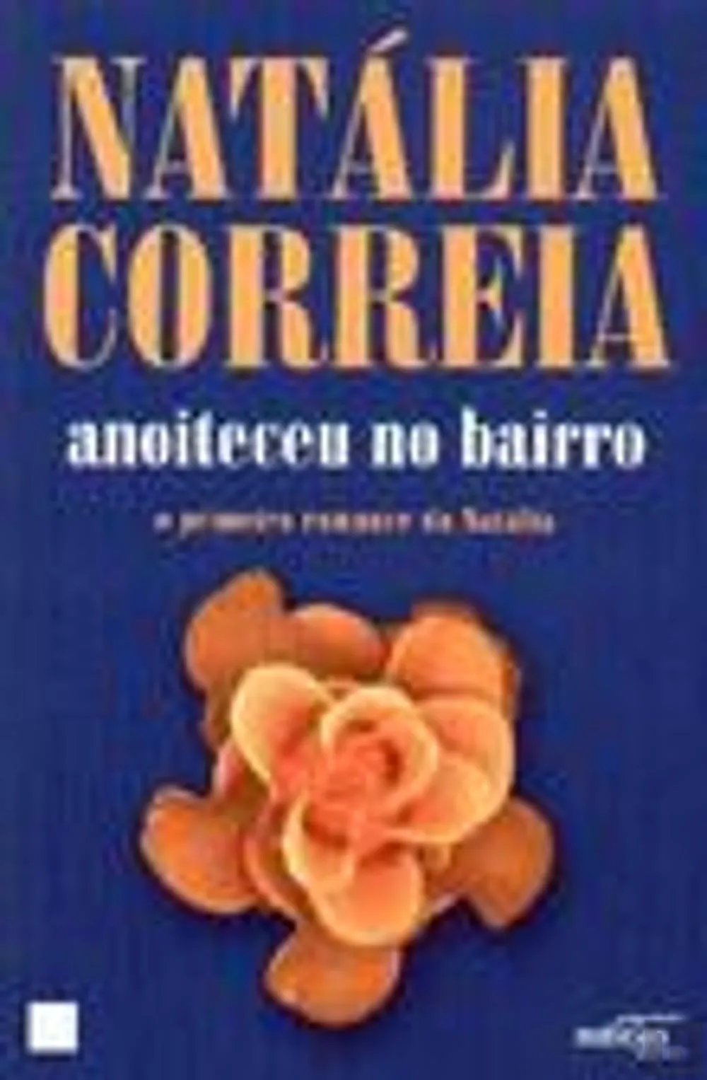 Anoiteceu no Bairro