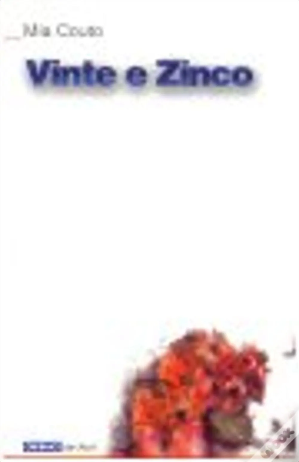 Vinte e zinco