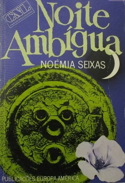 Noite Ambígua