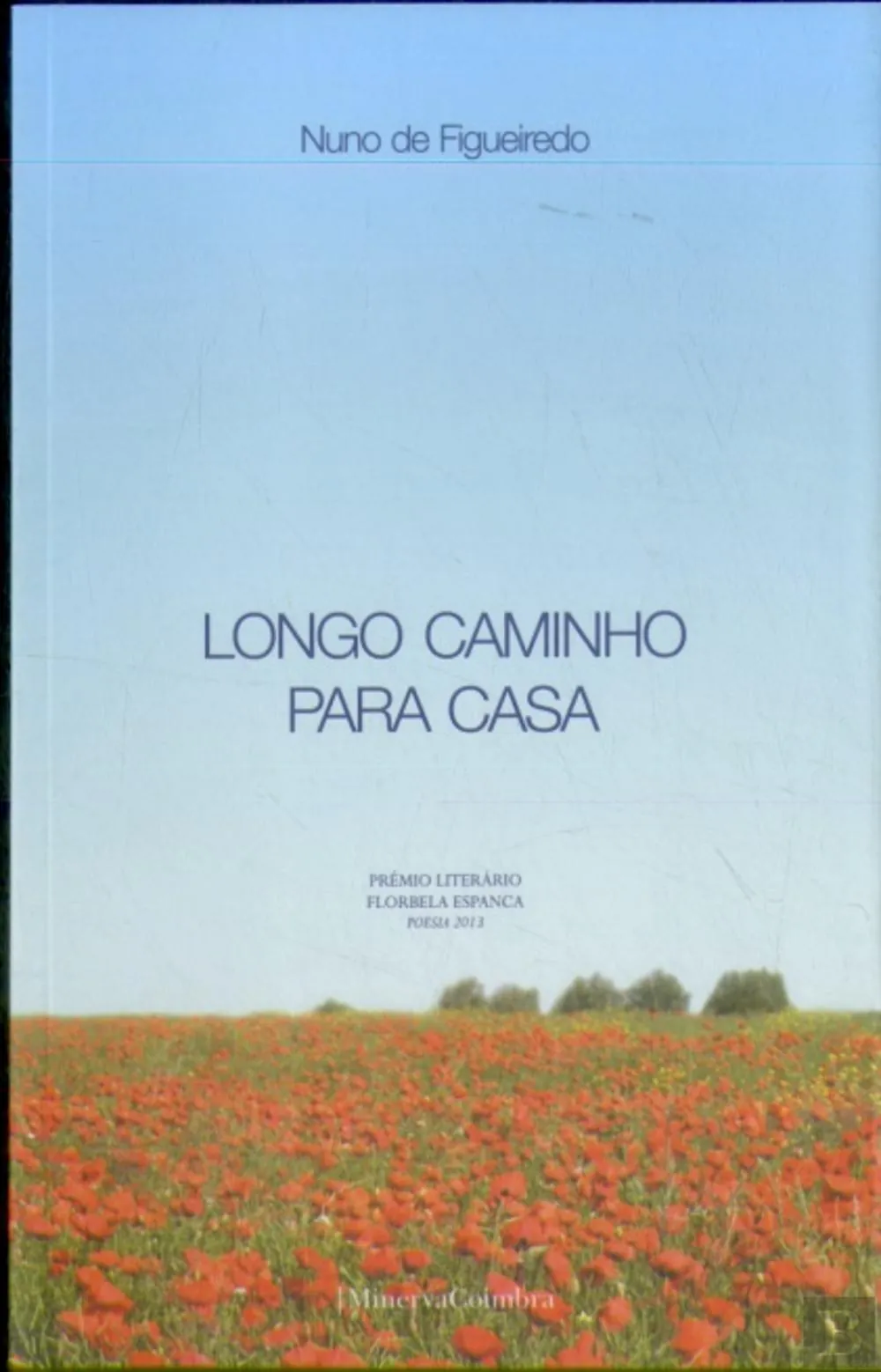 Longo caminho para casa