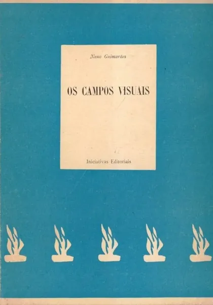 Os campos visuais