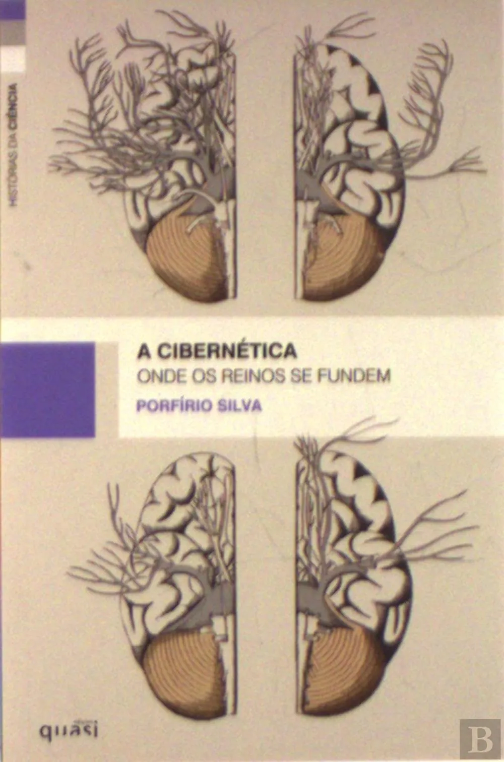 A cibernética : onde os reinos se fundem