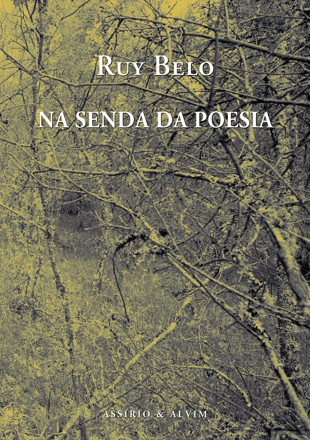 Na senda da poesia