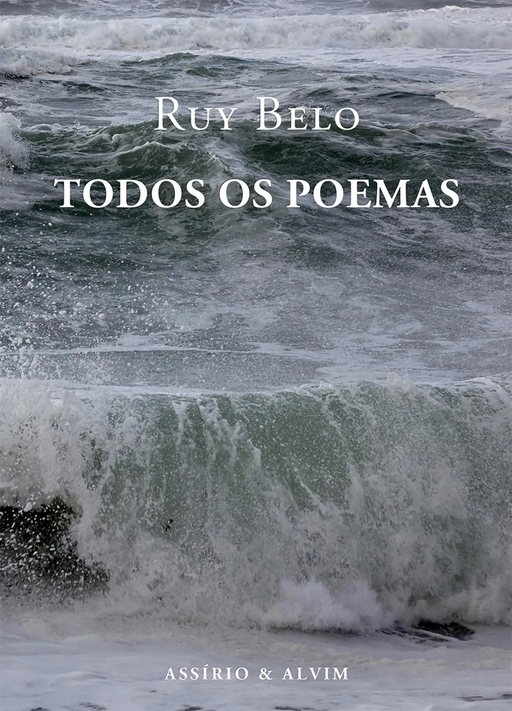 Todos os poemas