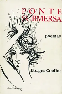 Ponte submersa