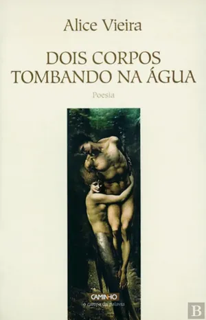 Dois corpos tombando na água