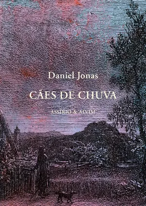 Cães de chuva