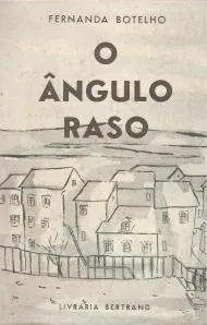 Ângulo raso