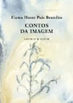 Contos da imagem