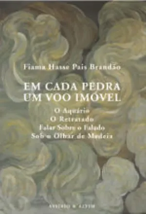 Em cada pedra, um vôo imóvel