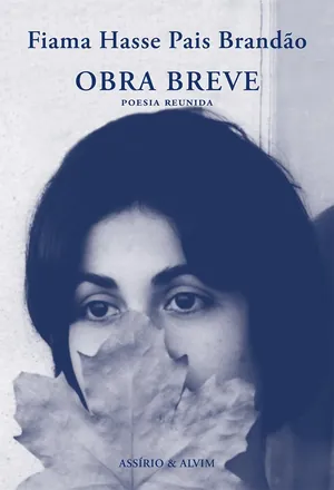Obra breve
