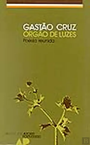 Órgão de Luzes