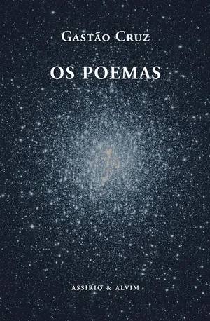 Os poemas [1960-2006]