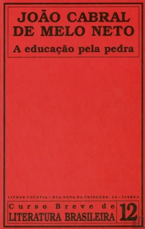 A educação pela pedra