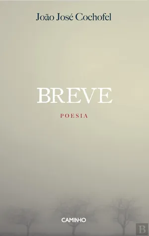 Breve