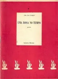 Uma rosa no tempo