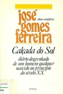 Calçada do Sol : diário desgrenhado de um homem qualquer nascido no princípio do século XX