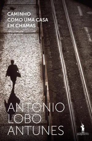 Caminho como uma casa em chamas