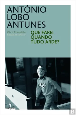 Que farei quando tudo arde?