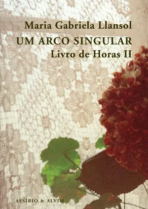 Um arco singular : livro de horas II