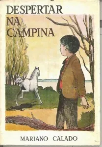 Despertar na Campina