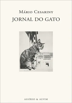 Jornal do gato