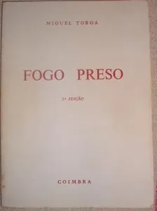 Fogo preso