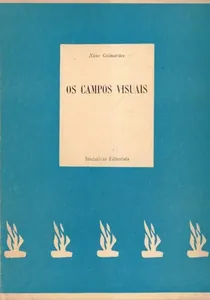 Os campos visuais