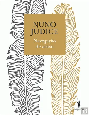 Navegação de Acaso